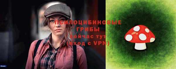 дживик Каменногорск