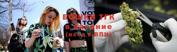 дживик Каменногорск
