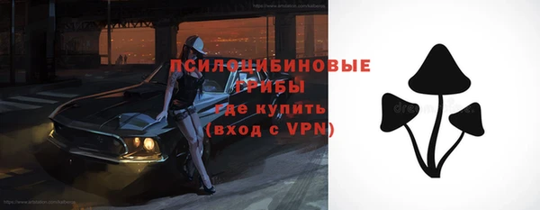 дживик Каменногорск