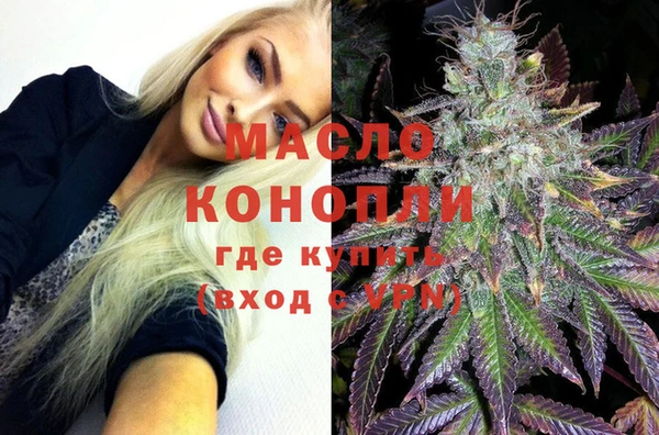 гашик Каменка