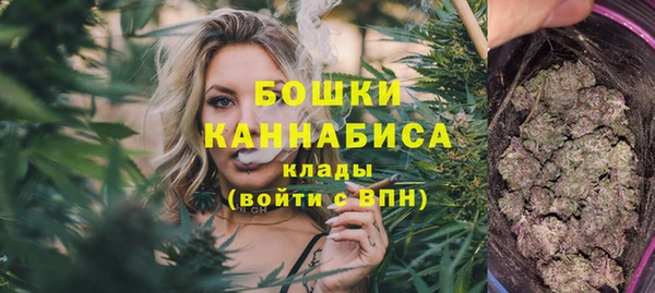 дживик Каменногорск