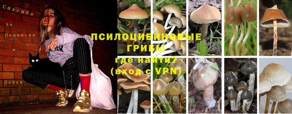 mdma Каменск-Шахтинский