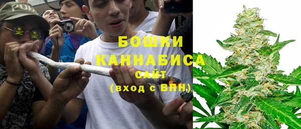 дживик Каменногорск