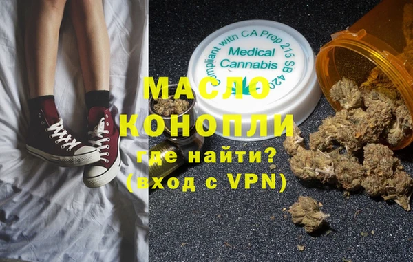 гашик Каменка