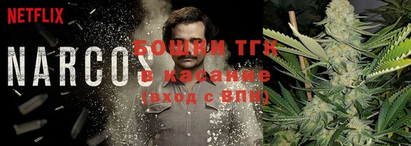 гашик Каменка