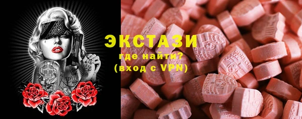 гашик Каменка