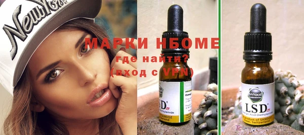 гашик Каменка