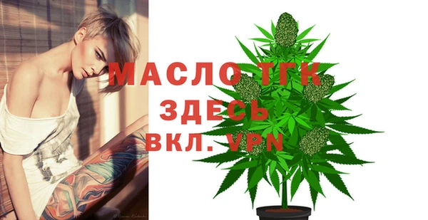 гашик Каменка
