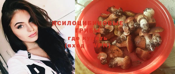 дживик Каменногорск