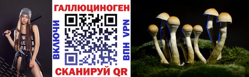 Псилоцибиновые грибы Psilocybine cubensis Купить где Вытегра